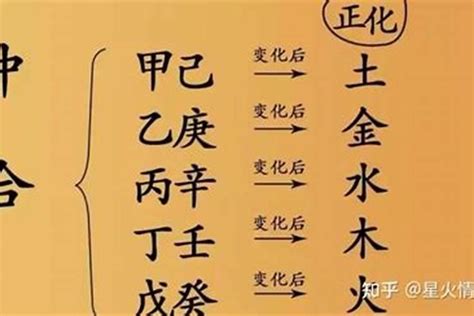 甲己合土|八字解析甲己合土